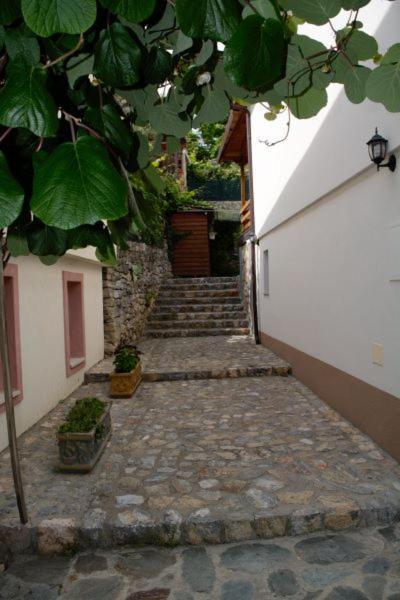 Villa Scandik Ohrid Luaran gambar